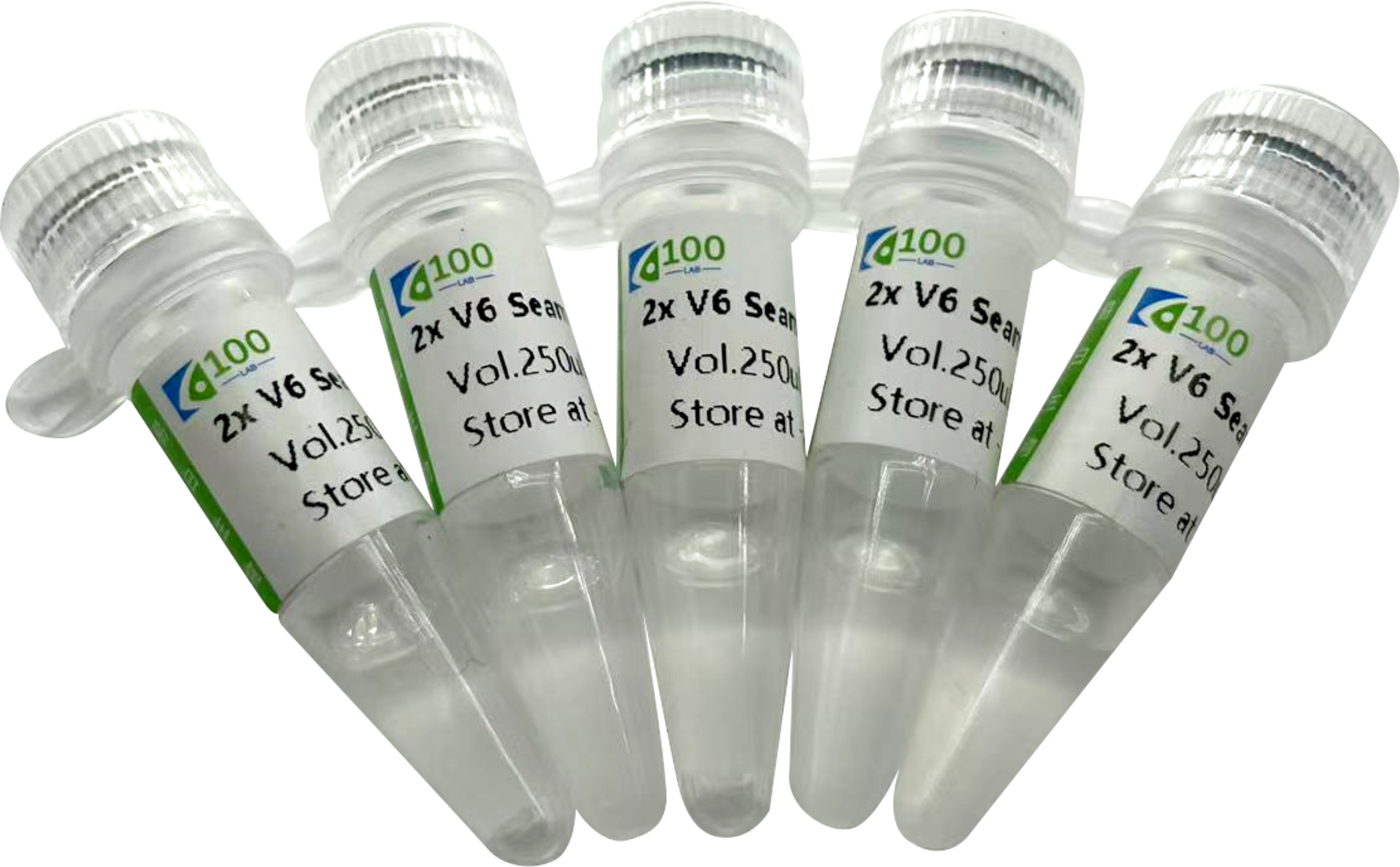 无缝克隆试剂盒