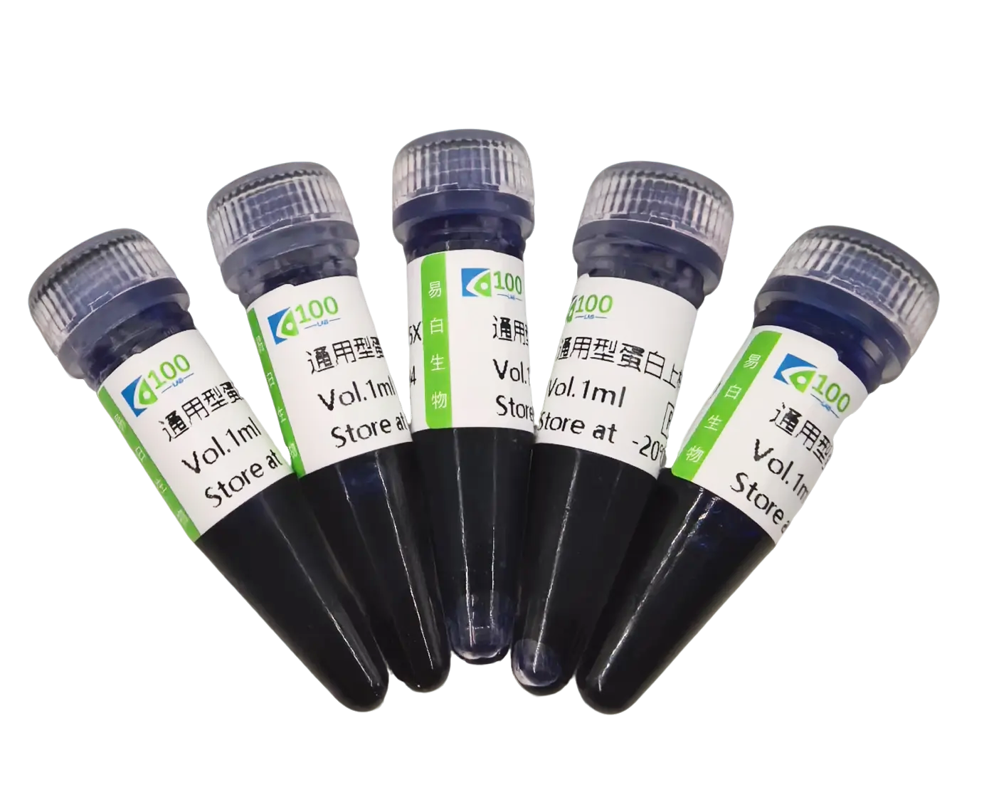 通用型蛋白上样缓冲液（5×）