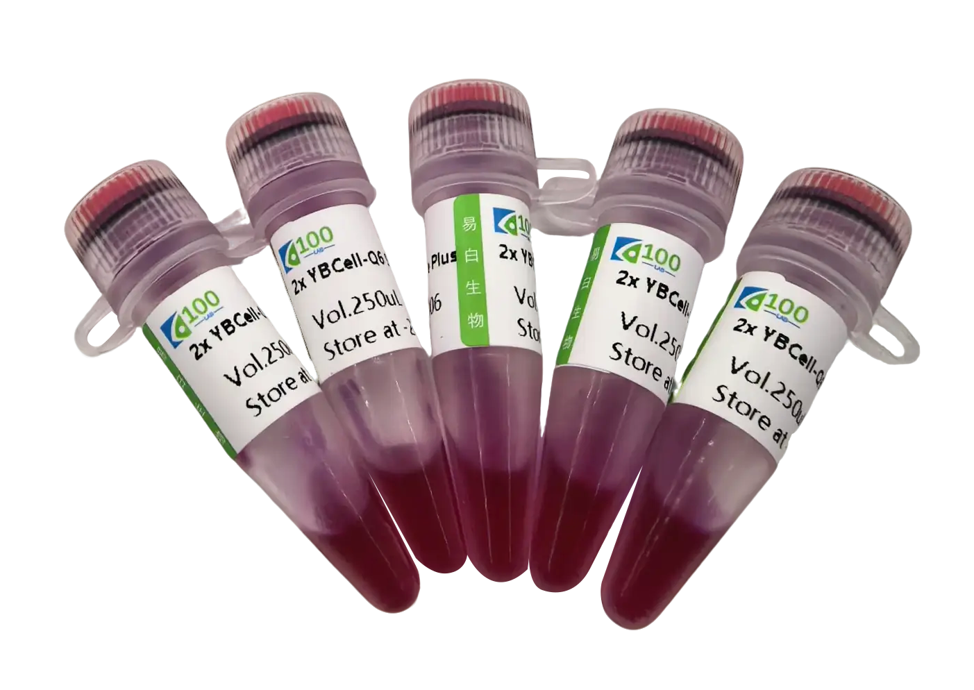 2x YBCell-Q6 Super Mix(Dye Plus)