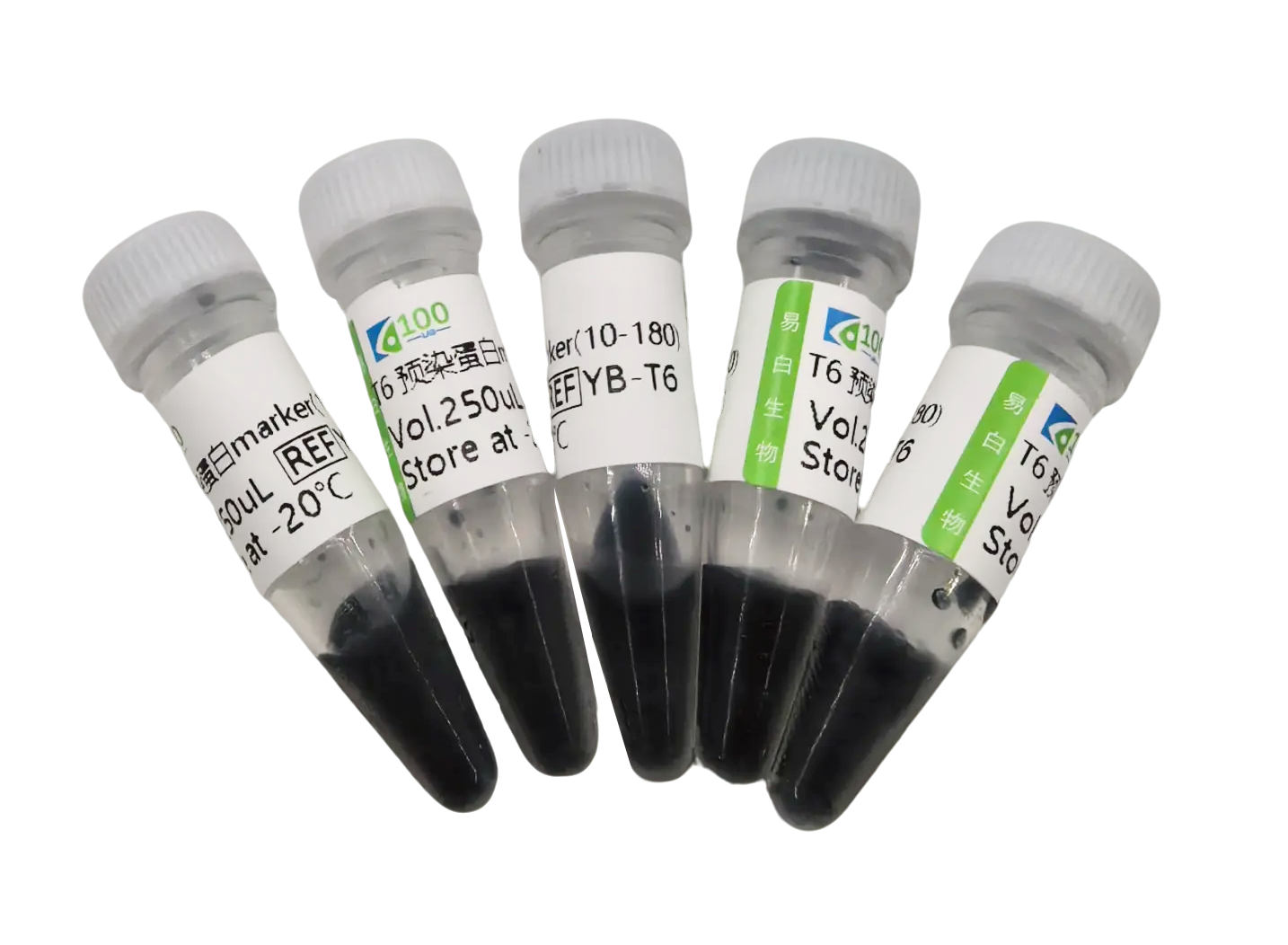 T6 预染标准蛋白 Marker（10-180kDa）